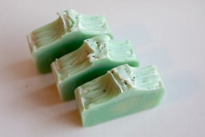 Eucalyptus & Peppermint Soap